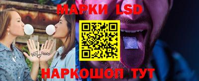 mdpv Гатчина
