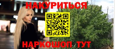 mdpv Гатчина