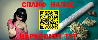 ешки Гай
